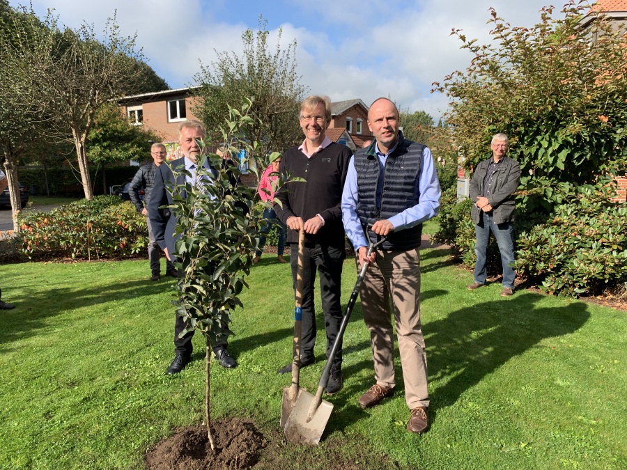 Baum pflanzen Handwerkszentrum Kropp-Stapelholm