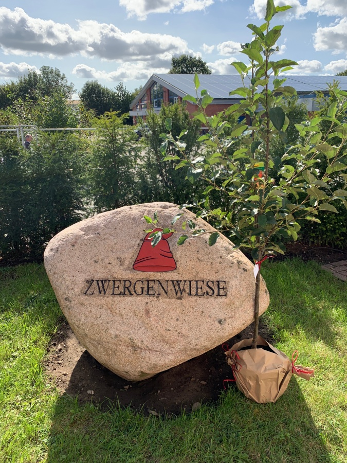 40 Jahre Zwergenwiese