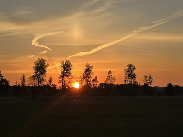 Rehkitzrettung 2025 