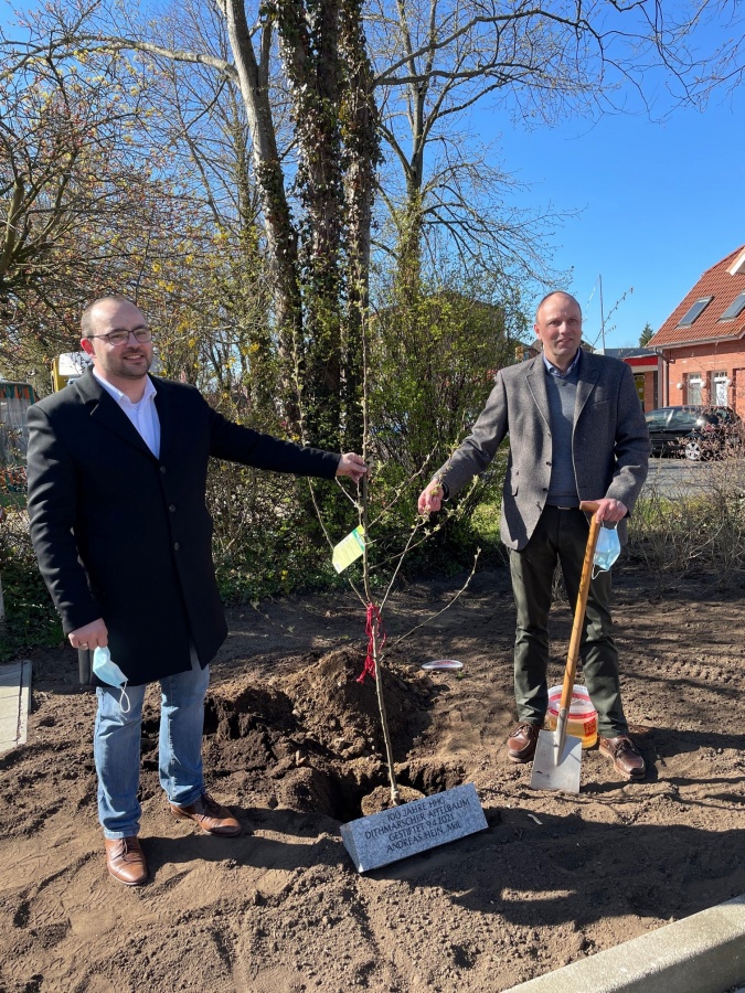 Apfelbaum für den Verein HHG Kropp