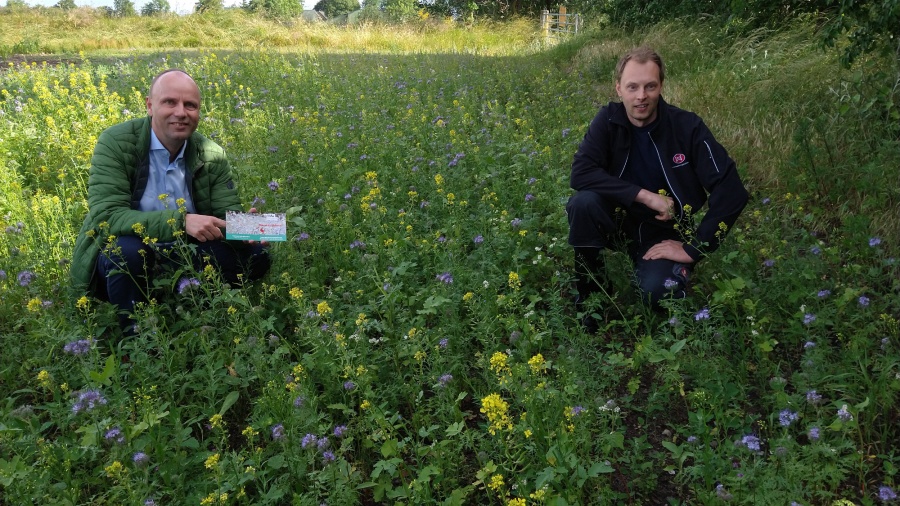 Blühwiese und landwirtschaftlicher Betrieb in der Nähe von Kropp