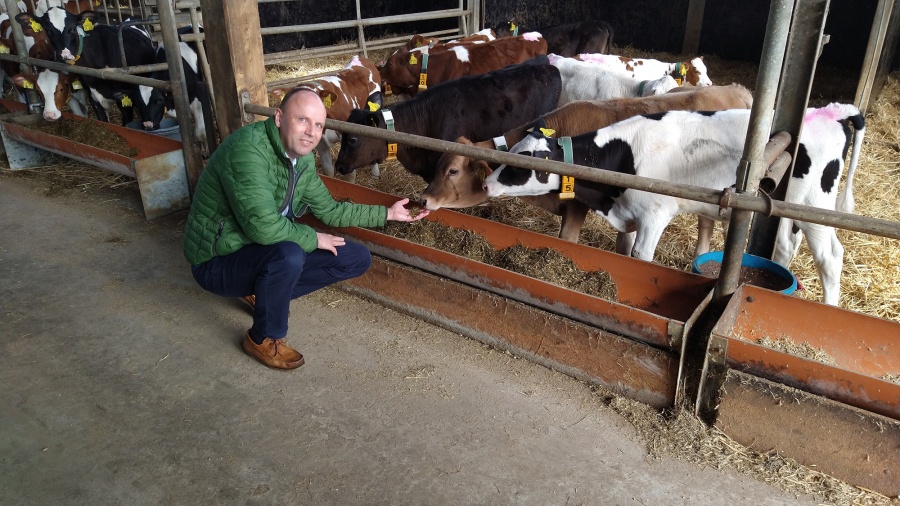 Blühwiese und landwirtschaftlicher Betrieb in der Nähe von Kropp