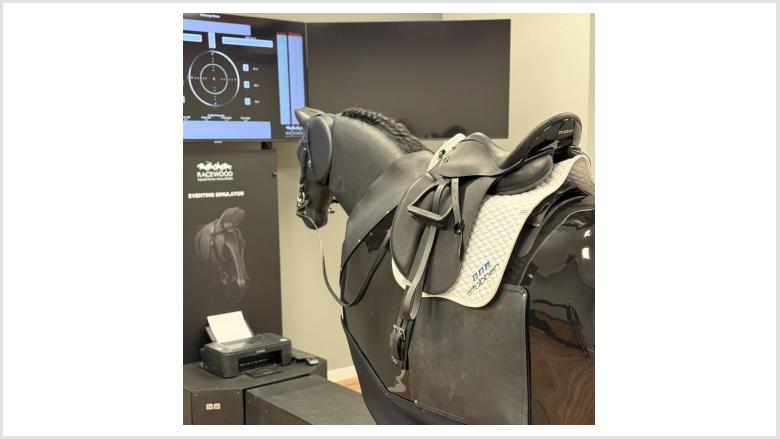 Der neue Reitsimulator