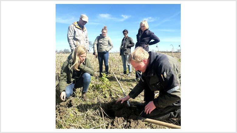 Schwerpunkt liegt auf dem Anbau von Feldgemüse 