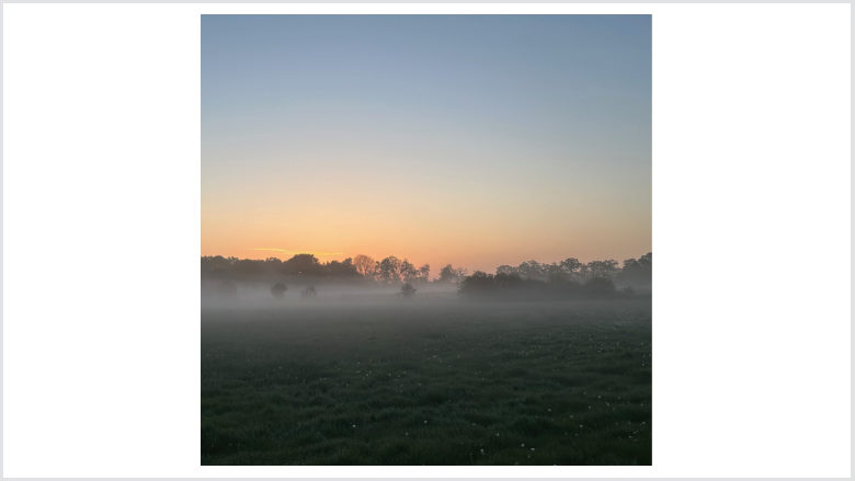 Sonnenaufgang am 11.05.2024