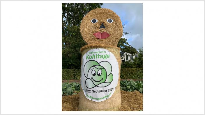 Kohlanschnitt