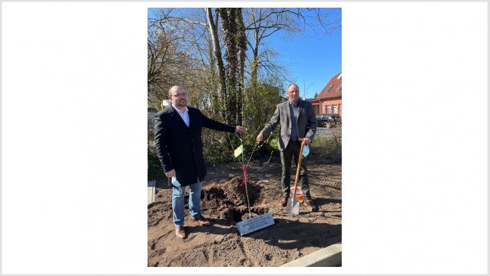 Apfelbaum für den Verein HHG Kropp