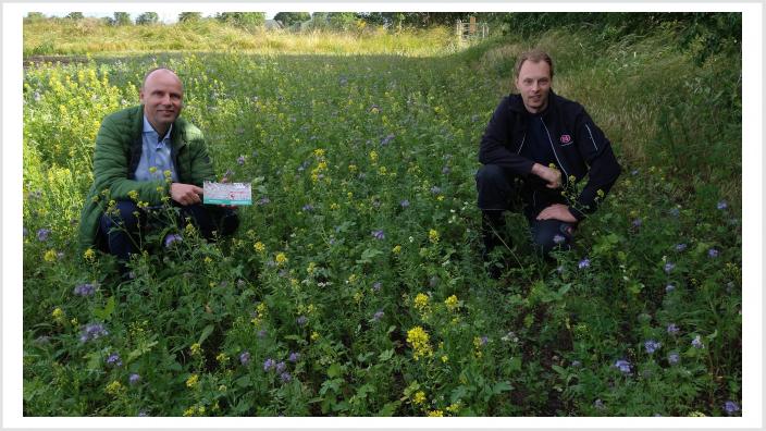 Blühwiese und landwirtschaftlicher Betrieb in der Nähe von Kropp